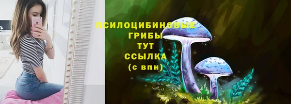 таблы Бородино