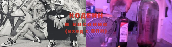 таблы Бородино