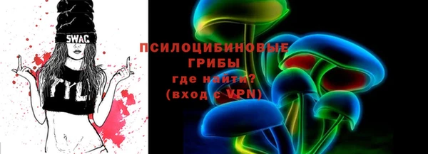 мдпв Бугульма