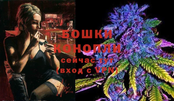 таблы Бородино