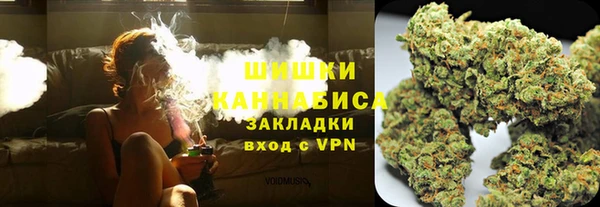 тгк Бронницы