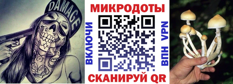 Галлюциногенные грибы Magic Shrooms  цены наркотик  blacksprut ONION  Неман 